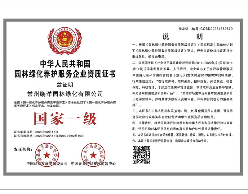 榮譽(yù)證書(shū)