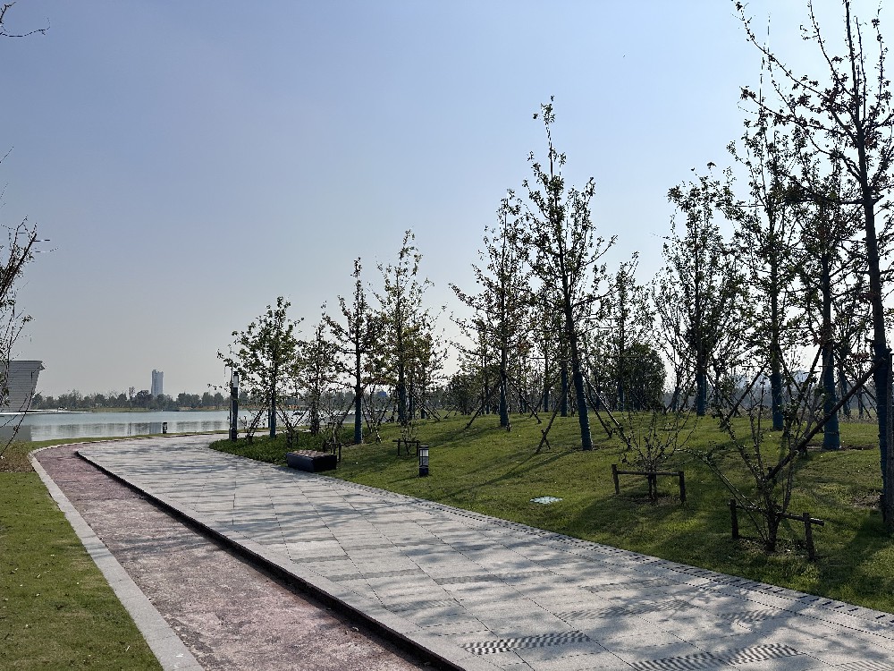 經(jīng)開(kāi)區城市客廳